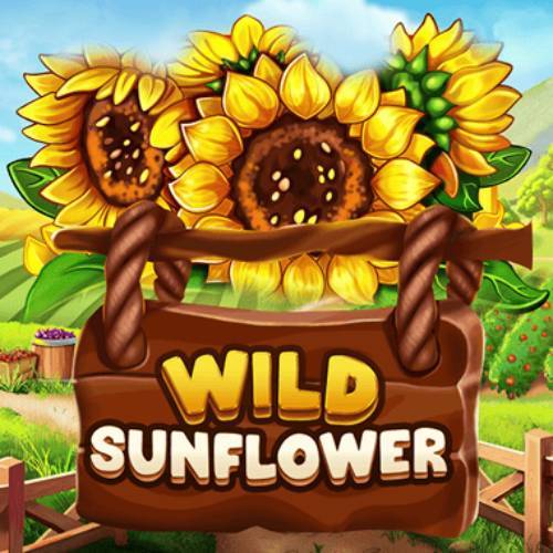 Wild Sunflower
