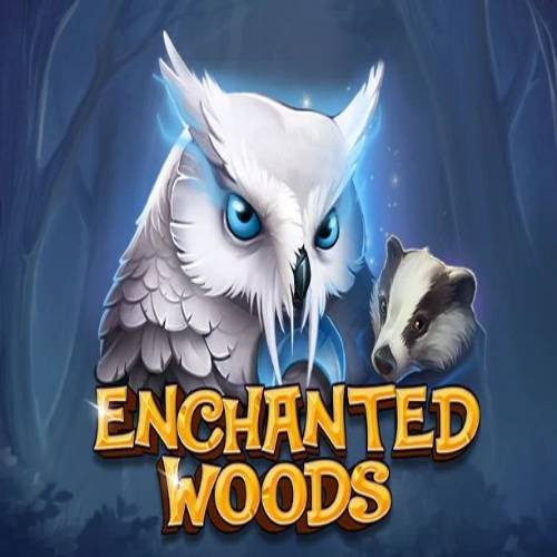 Enchanted Woods